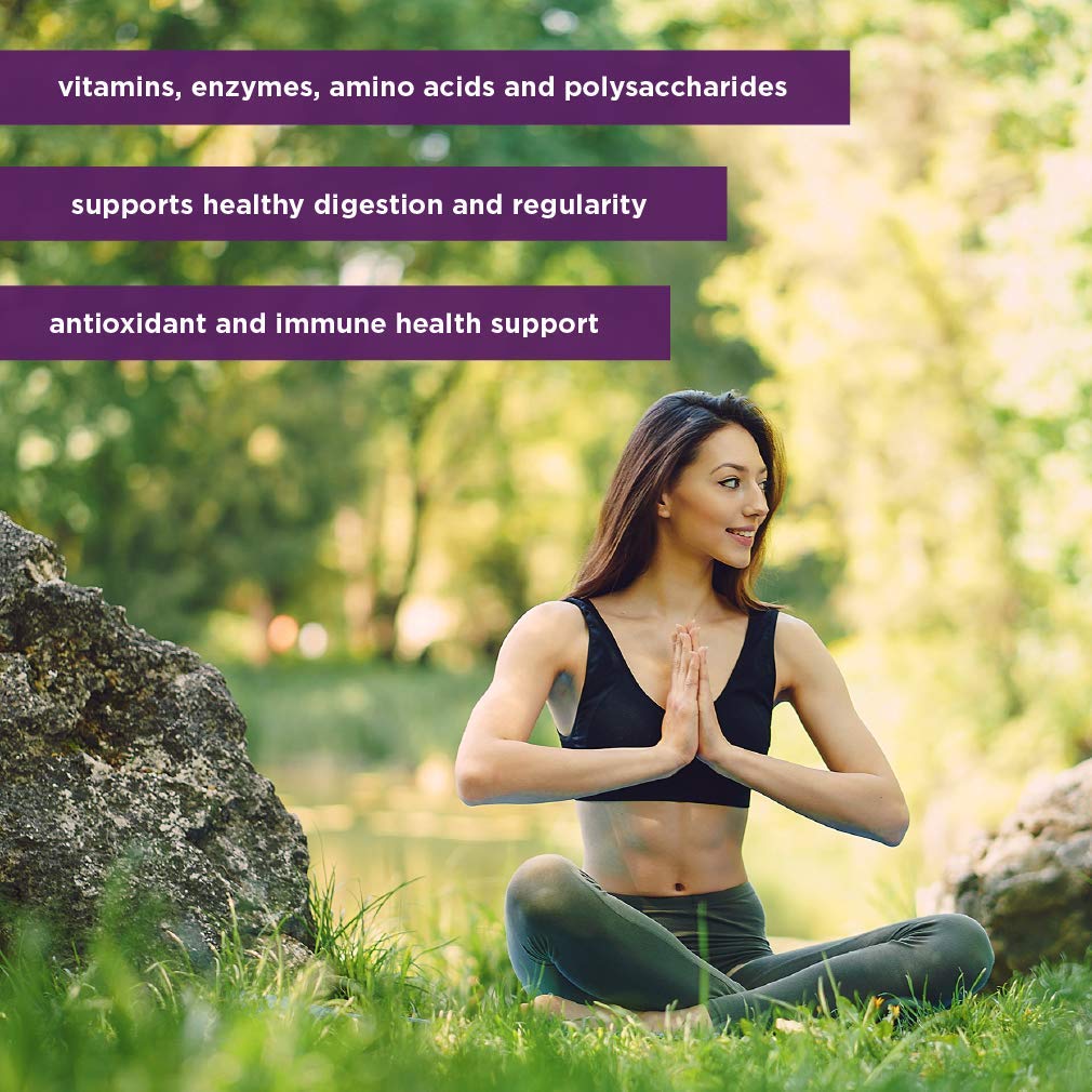 Lily of The Desert Aloe Vera Gel - 16 oz