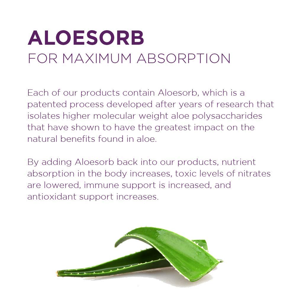 Lily of The Desert Aloe Vera Gel - 16 oz