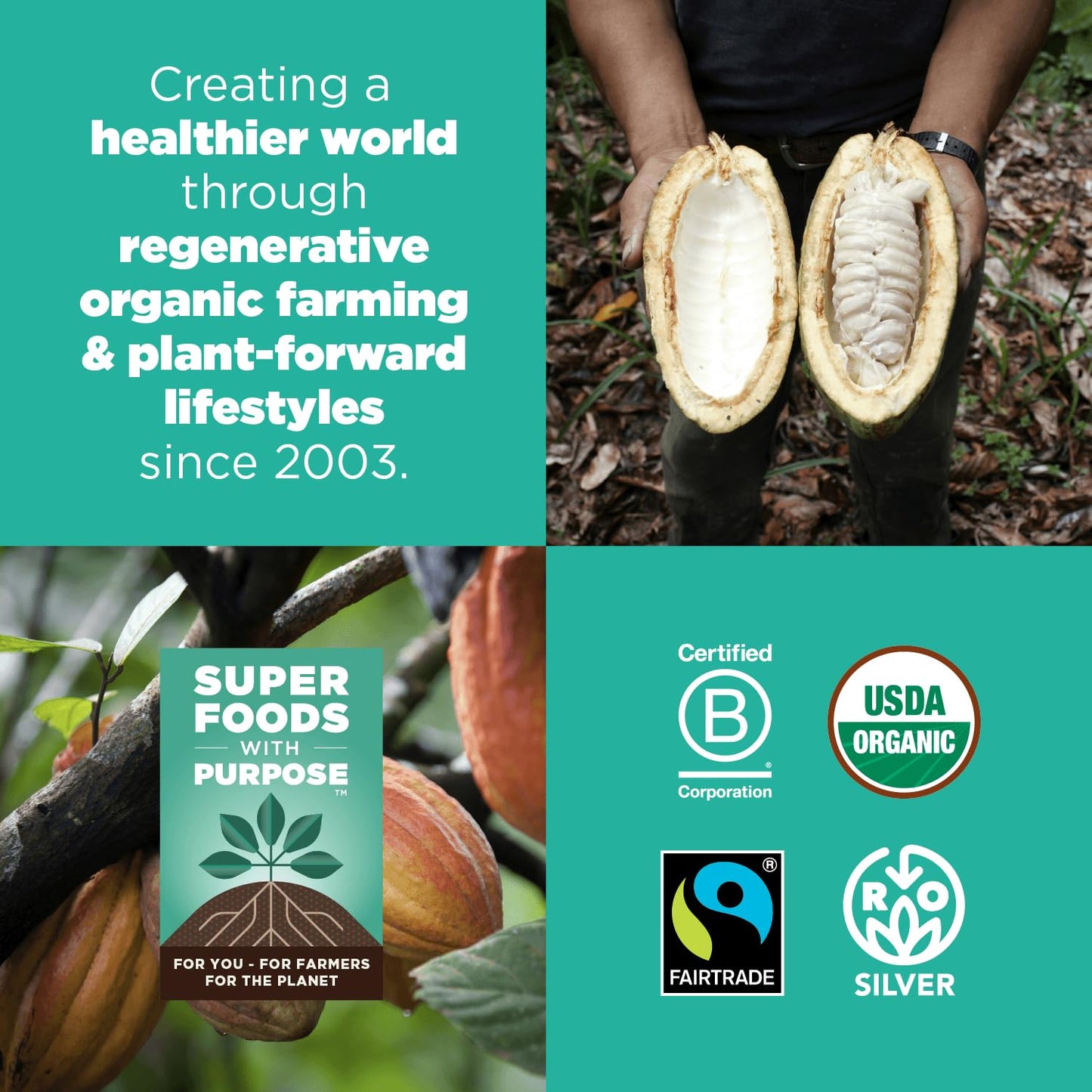 Navitas Organics Cacao Powder, 16 Ounce