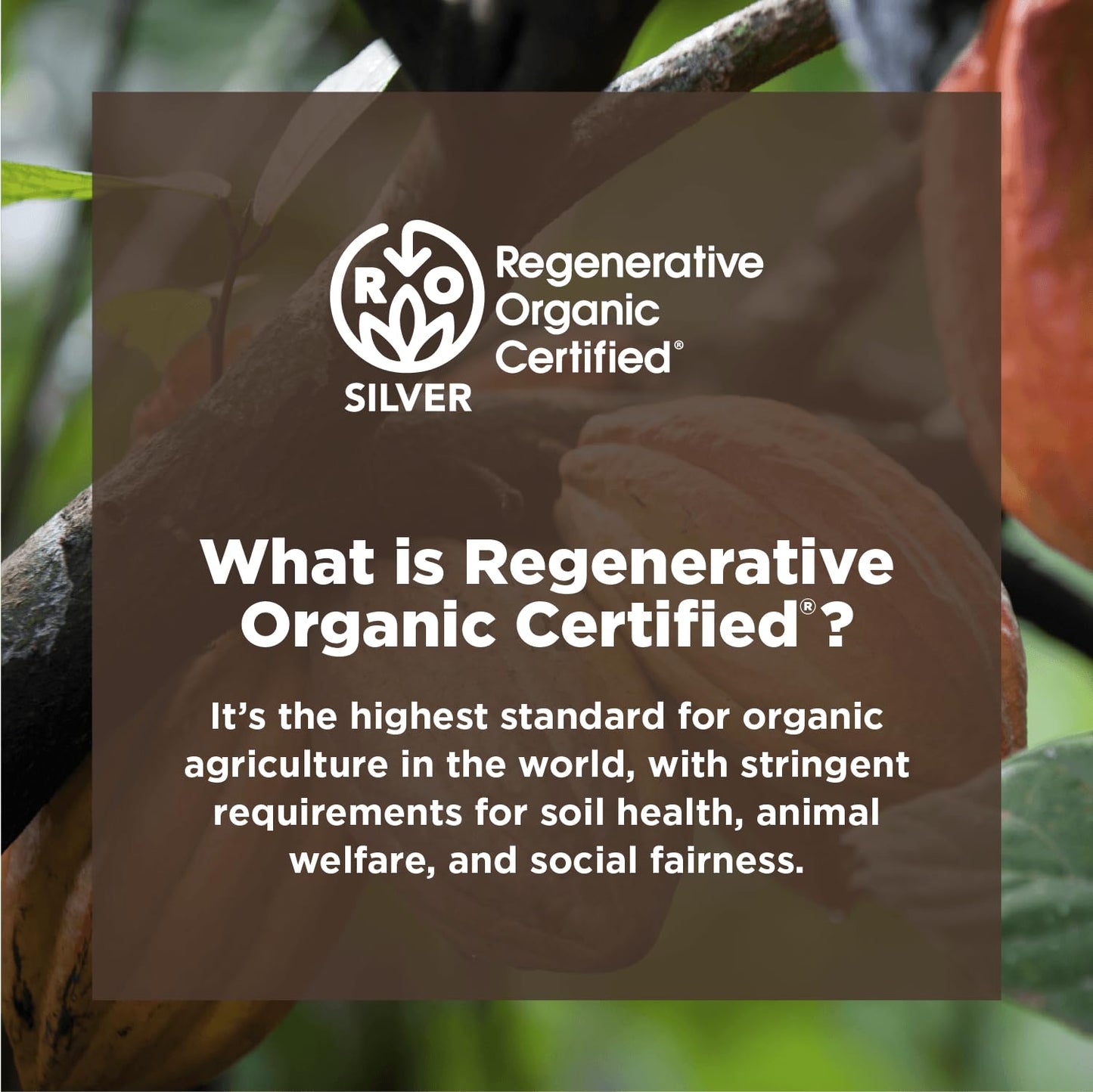 Navitas Organics Cacao Powder, 8 Ounce